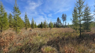 /international/us/timberline-heights-parcel-d-weippe-id-110120531148/