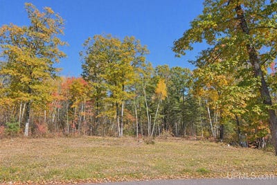 /international/us/w10976-woods-road-dunbar-t-wi-wi-110120449319/