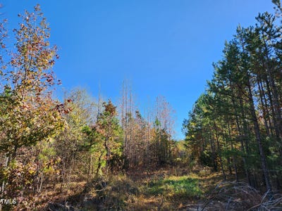 /international/us/tbd-snow-camp-road-snow-camp-nc-110095712136/?lang=zh-tw