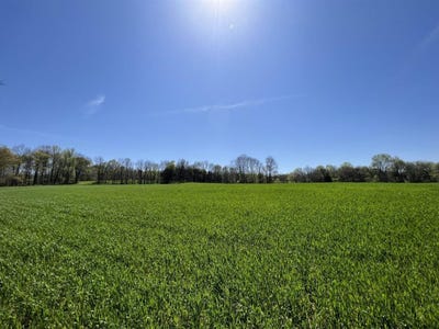 /international/us/2650-spears-road-scottsville-ky-110098852972/