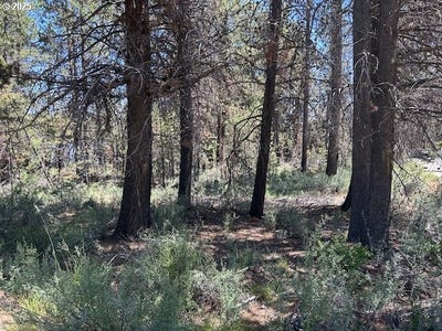 /international/us/hwy-97-crescent-or-110100563314/