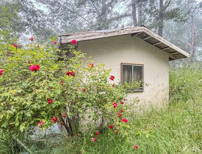 /international/us/38401-upper-road-willits-ca-110108850856/