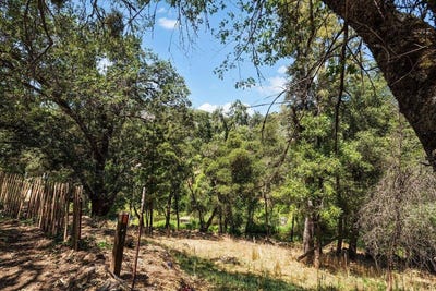 /international/us/11856-tom-ray-drive-grass-valley-ca-110100800833/