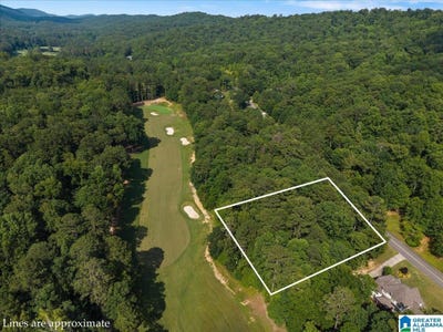 /international/us/433-saint-andrews-parkway-oneonta-al-110100950912/