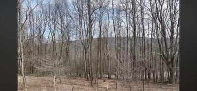 /international/us/lot-7-bluffs-trail-donegal-pa-110098963409/?lang=en