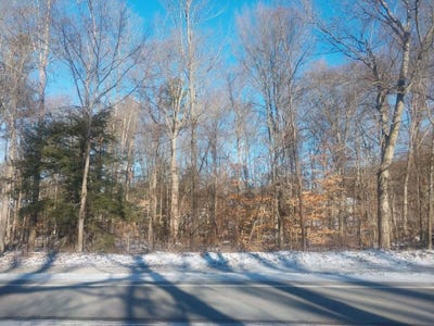 /international/us/142nd-avenue-lot-a-dorr-mi-110104904985/