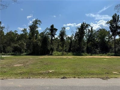 /international/us/linda-s-haven-road-lot-b-springfield-la-110120001992/