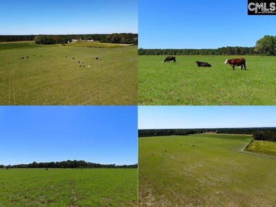 /international/us/tema-road-hartsville-sc-110120038403/