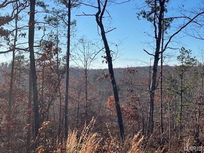/international/us/55-madison-cr-410-fredericktown-mo-110091233248/