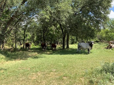 /international/us/10051-county-road-321-blanket-tx-110100655175/?lang=en