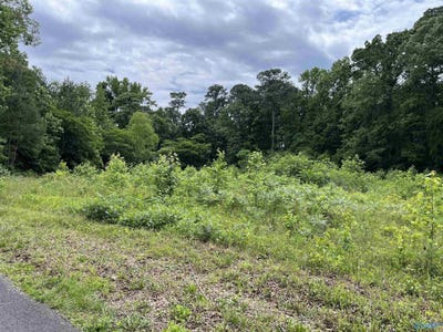 /international/us/lot-13-country-cove-road-crossville-al-110099714442/?lang=zh-tw
