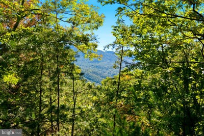 /international/us/195-hinkle-mt-road-moorefield-wv-110120456776/