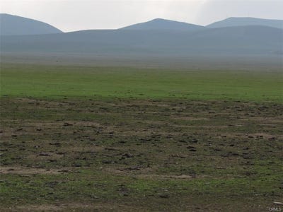 /international/us/04352007005-goldenrod-lost-hills-ca-110097803109/