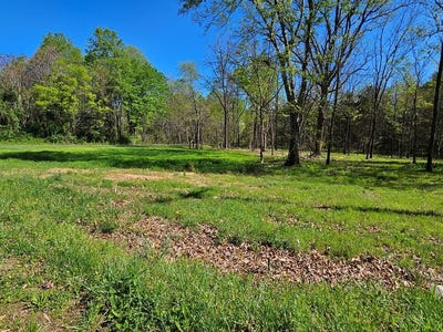 /international/us/physic-spring-dillwyn-va-110106918971/
