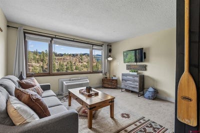 /international/us/314-n-tamarron-drive-durango-co-110106951799/