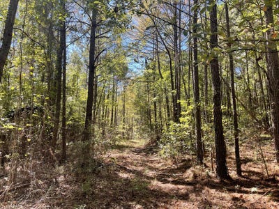 /international/us/0-county-road-108-fayette-al-110102993387/