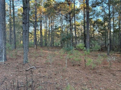 /international/us/dawn-lane-lot-14-quitman-ga-110104972977/