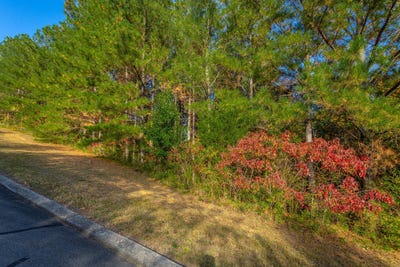 /international/us/128-cherokee-ridge-drive-ocoee-tn-110100987418/?lang=zh-tw