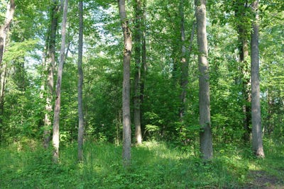 /international/us/willis-road-ypsilanti-mi-110107087358/