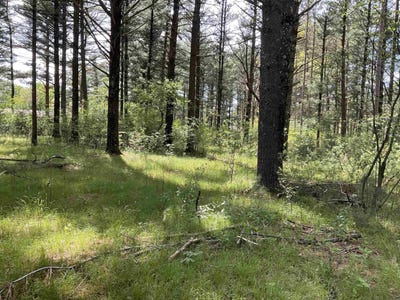/international/us/deer-lane-wisconsin-rapids-wi-110108392048/