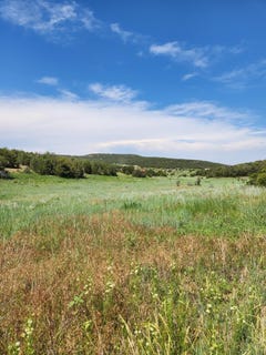 /international/us/escalante-road-edgewood-nm-110101074368/?lang=zh-cn