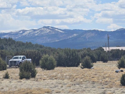 /international/us/12-n-3132-vernon-az-110098093214/
