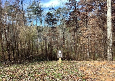 /international/us/hope-court-lot-74-ellijay-ga-110109189247/