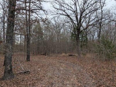 /international/us/179-rs-county-road-2572-alba-tx-110105293364/