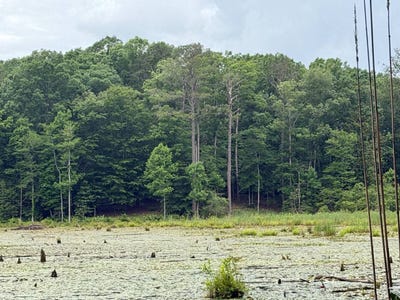 /international/us/0-live-oak-rd-luverne-al-110108353981/