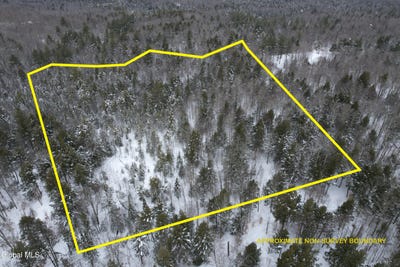 /international/us/3164-lone-pine-extension-forestport-ny-110106325479/