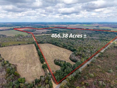 /international/us/1203-bellview-road-colquitt-ga-110103268889/