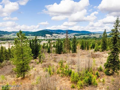 /international/us/497-thimbleberry-lane-plummer-id-110100196417/