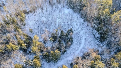 /international/us/route-123-alstead-nh-110105109808/
