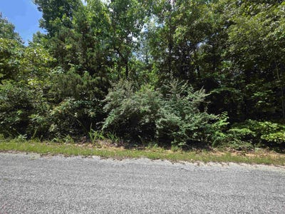/international/us/1101-s-michigan-avenue-horseshoe-bend-ar-110109198472/