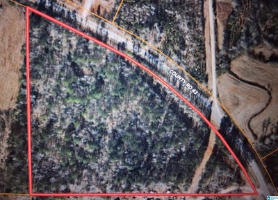 /international/us/county-road-43-lot-0-wadley-al-110120515230/