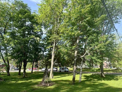 /international/us/lot-1-and-2-8th-st-baraboo-wi-110108380680/