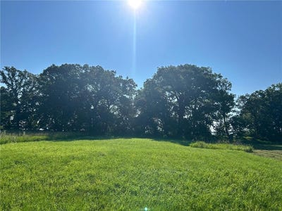 /international/us/lot-7-hummingbird-way-sw-lake-mary-twp-mn-110098093824/
