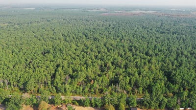 /international/us/planer-mill-rd-deridder-la-110102305892/