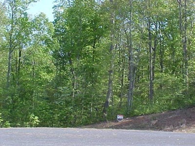 /international/us/lake-pointe-court-lot-29-pamplin-va-110107055960/