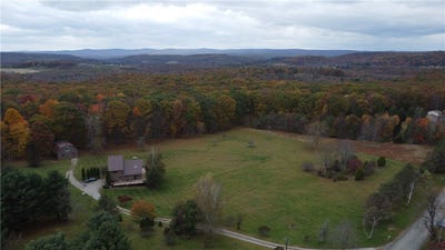 /international/us/539-braddock-road-farmington-pa-110108844880/