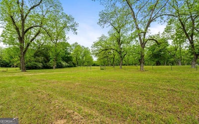 /international/us/117-zebulon-street-milner-ga-110107934136/