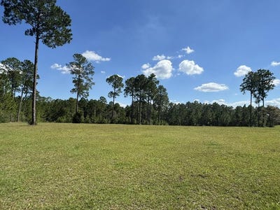 /international/us/lot-189-towering-pines-carriere-ms-110120001212/