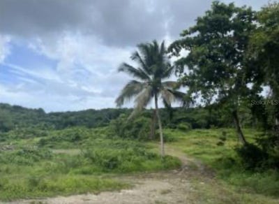 /international/us/el-zarzal-rio-grande-pr-110101076083/