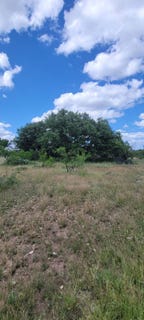 /international/us/1001-treadwell-lane-menard-tx-110120528893/