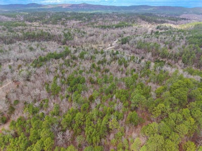 /international/us/gaston-road-mount-ida-ar-110106356793/