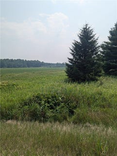 /international/us/lot-4-county-highway-w-holcombe-wi-110097701281/?lang=zh-tw