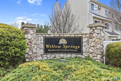 /international/us/305-willow-springs-new-milford-ct-110107060261/