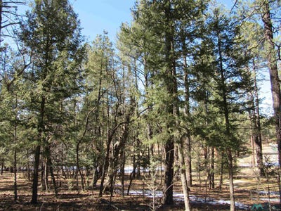 /international/us/44-w-forest-dr-road-rociada-nm-110100251753/?lang=zh-tw