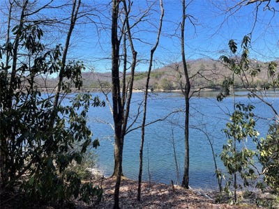 /international/us/00-vess-owen-road-tuckasegee-nc-110085233867/