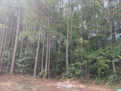 /international/us/oakview-circle-sylacauga-al-110094316379/?lang=zh-tw